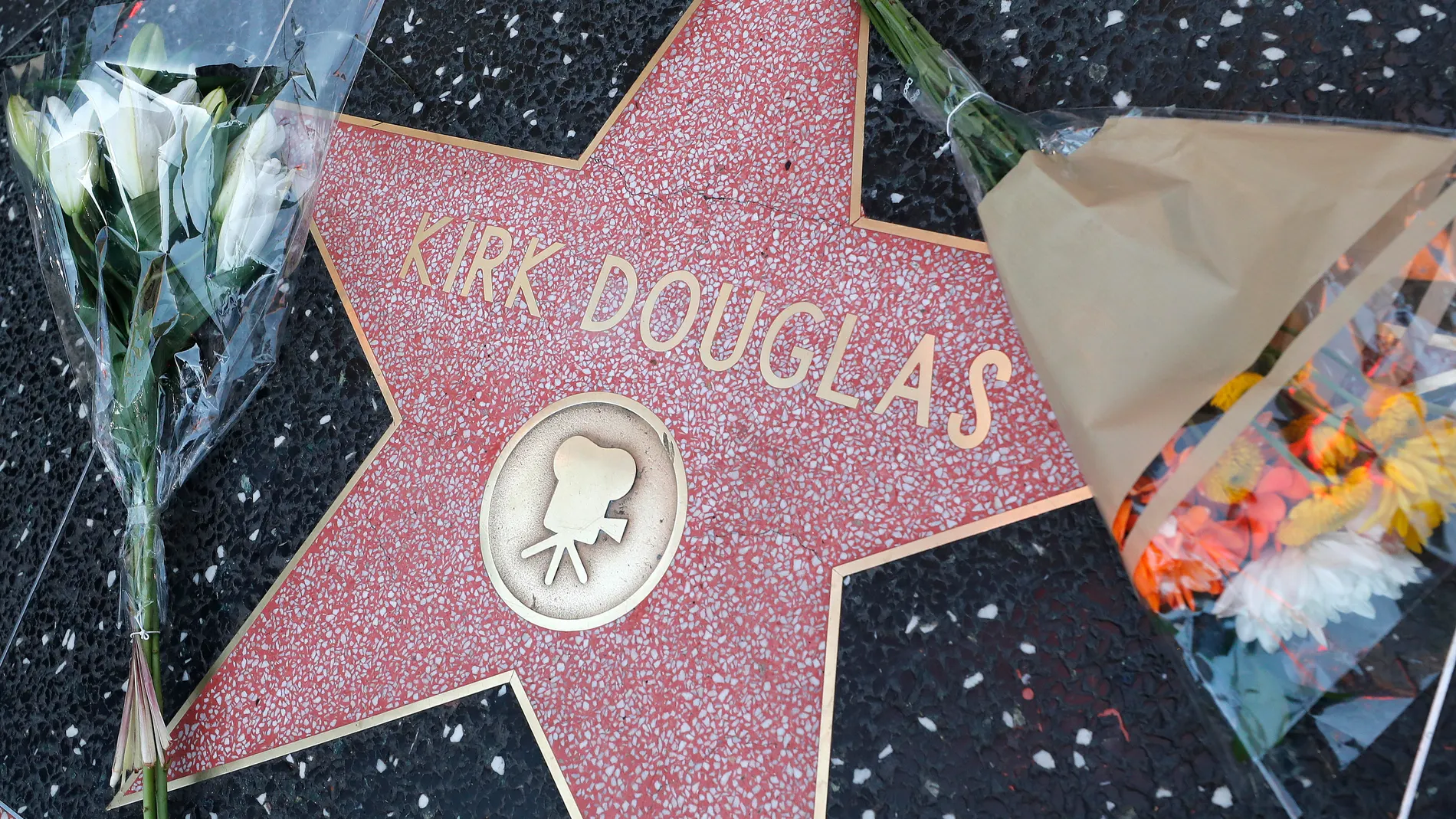 US actor Kirk Douglas dies at age 103