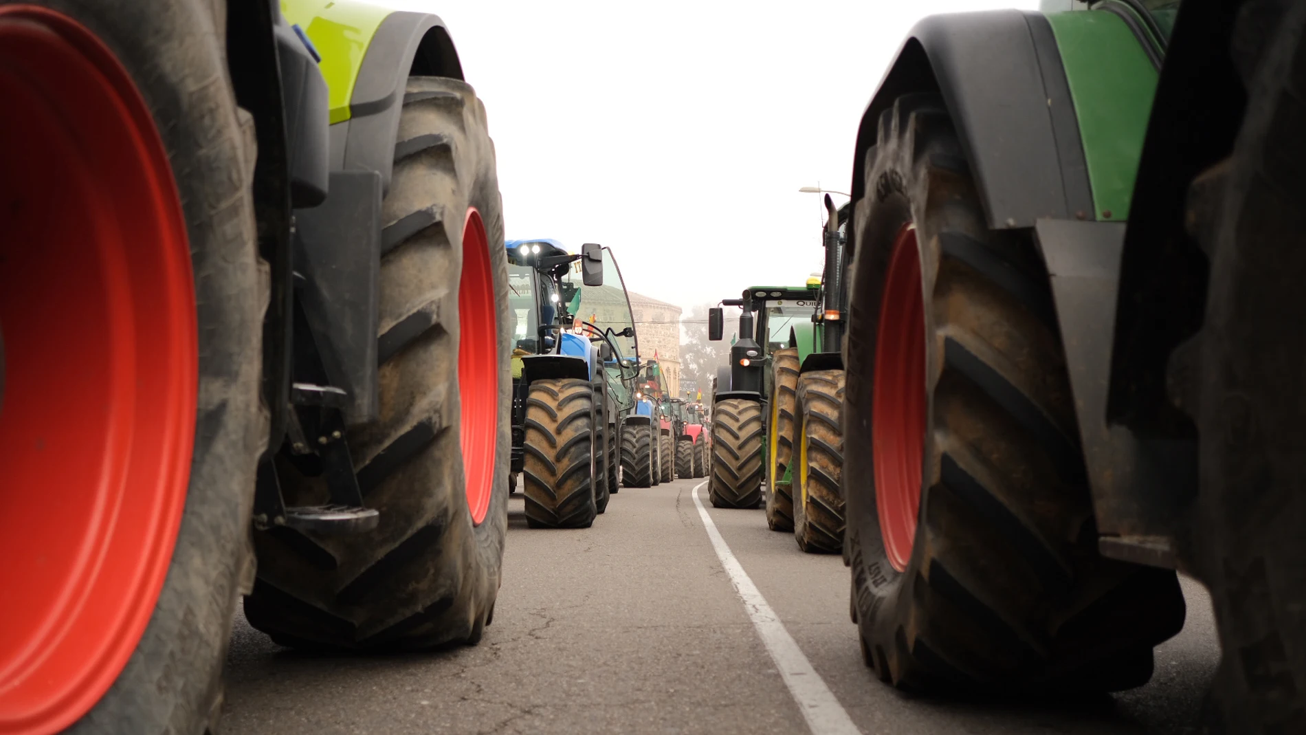 Manifestación de agricultores y ganaderos en Toledo