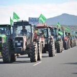 Movilización de Asaja por la situación del sector agrícola en Almería