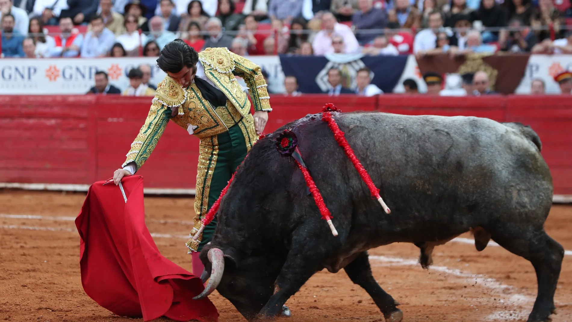 El torero Morante de la Puebla lidia a su toro en una Plaza de Toros de México
