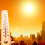 El inicio de la primavera llegó seis días antes en las ciudades estudiadas que en las áreas rurales