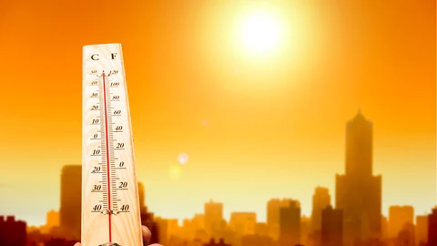 El inicio de la primavera llegó seis días antes en las ciudades estudiadas que en las áreas rurales