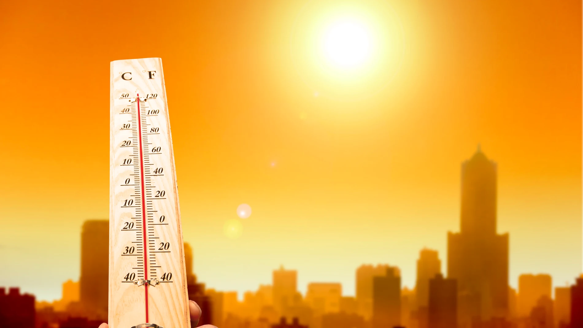 El inicio de la primavera llegó seis días antes en las ciudades estudiadas que en las áreas rurales