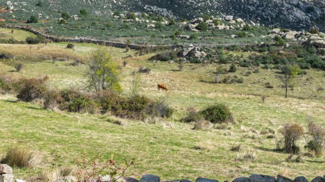 Parque Nacional de la Sierra de Guadarrama