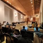 Pleno del Ayuntamiento de Salamanca.EUROPA PRESS14/02/2020