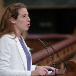 Sesión plenaria en el Congreso de los Diputados en la que se debaten entre otras cosas el fomento de la natalidad y la protección de la familia