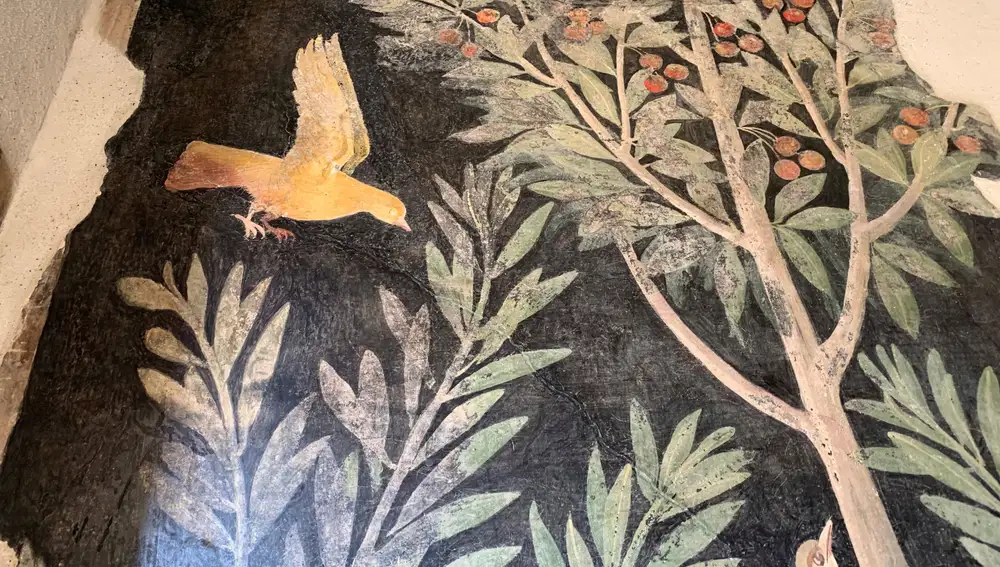 Vista de uno de los frescos que pretenden dar la sensación de un jardín nocturno en las ruinas de Pompeya