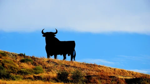 El toro de Osborne es uno de los símbolos más característicos de nuestro país.