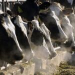 Las comunidades autónomas limítrofes con la Valenciana -Cataluña, Aragón y Castilla-La Mancha, principalmente- cuentan con trámites más ágiles