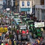 Un grupo de unos 300 manifestantes se ha desviado del itinerario de la tractorada convocada por organizaciones agrarias y ganaderas en protesta por la crisis del sector primario y ha cortado el tráfico en Camino de Ronda a la altura de Recogidas, en el centro de Granada capital