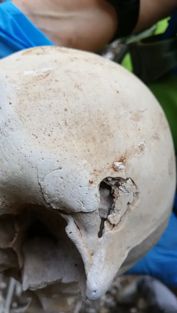 Uno de los huesos de los 72 individuos encontrados en una cueva de Gran Canaria