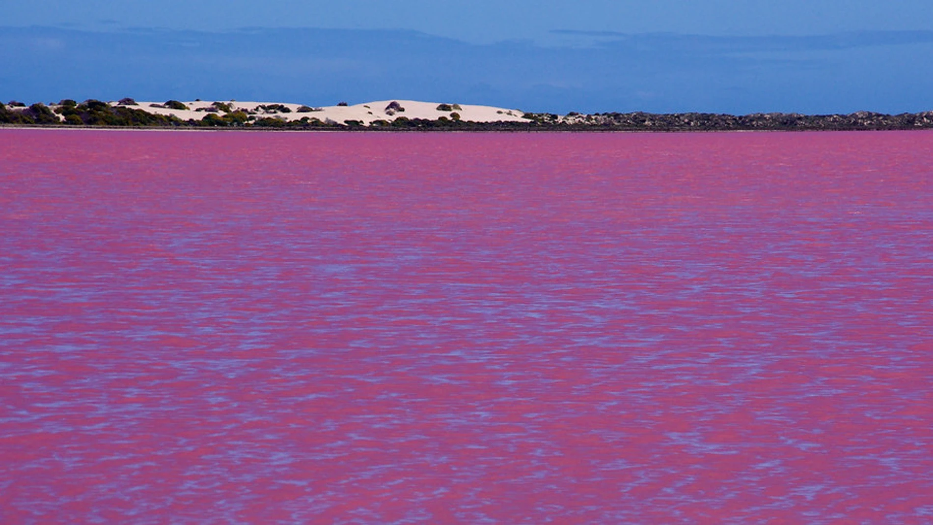 La sal y las bacterias, en alianza constante, crean la fórmula mágica para teñir de rosa algunos de los lagos más espectaculares del planeta