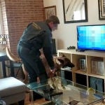 La Guardia Civil desmantela un punto de venta de droga sintética en la localidad vallisoletana de Íscar