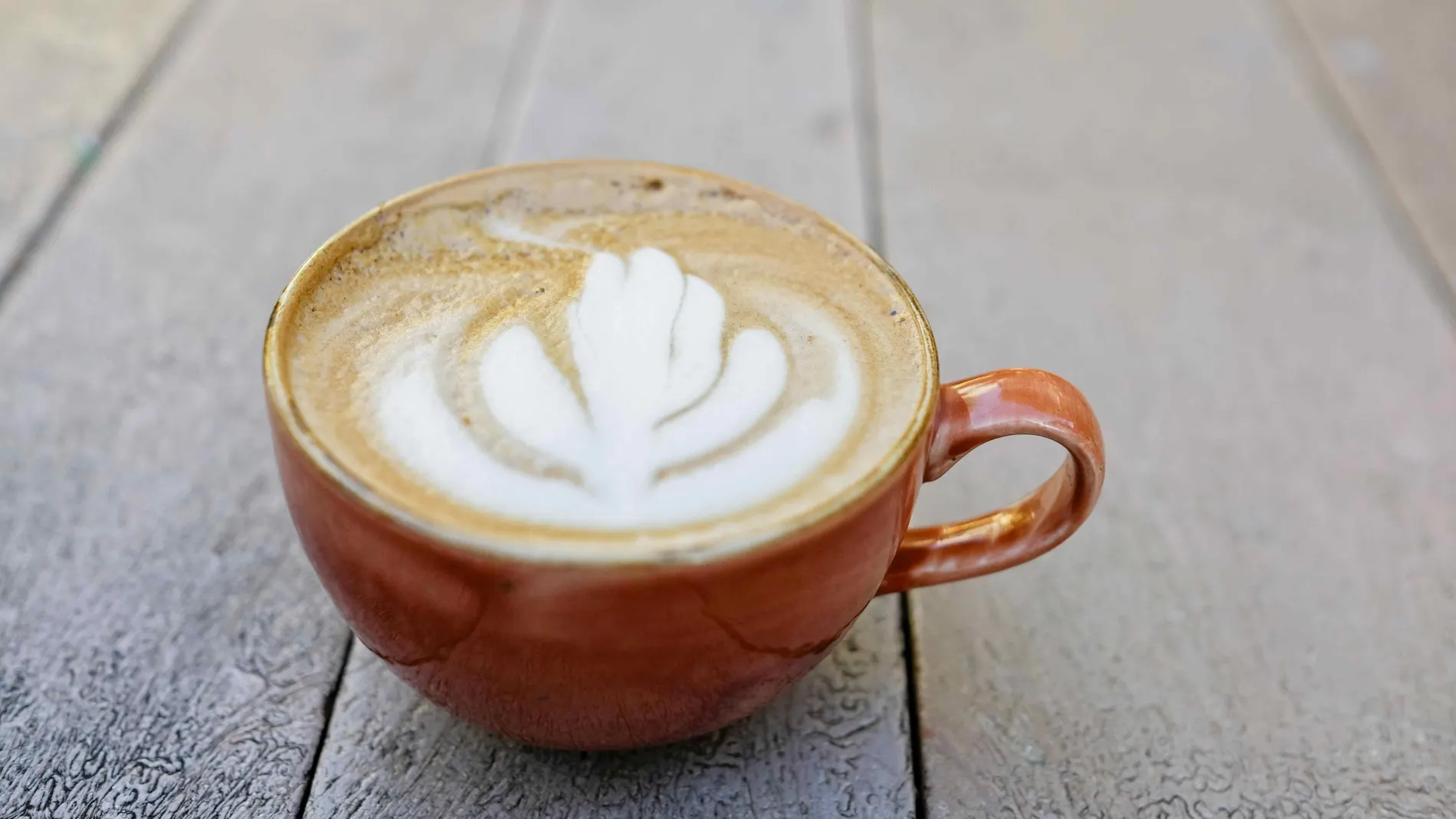 Un proyecto de ley sobre el origen del café abre una polémica en Costa Rica