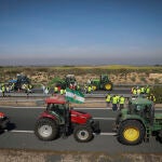 Manifestantes cortando la A-4 en Carmona durante la tractorada organizada por agricultores en Sevilla el 25 de febrero