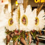 Miles de personas salieron a las calles de la ciudad alicantina para ver el Gran Desfile Concurso de Carnaval 2020