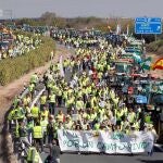 Miles de agricultores y ganaderos se lanzaron a las calles hace un año