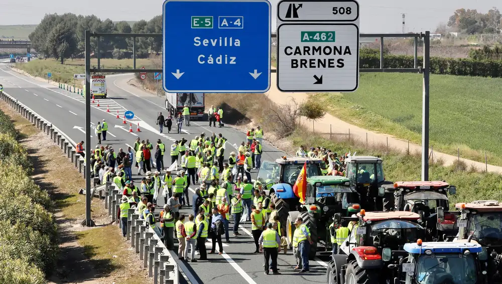 Tractorada realizada por agricultores y ganaderos de la provincia de Sevilla. EFE/José Manuel Vidal