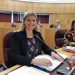 La portavoz del Partido PP de Granada, Inmaculada Hernández