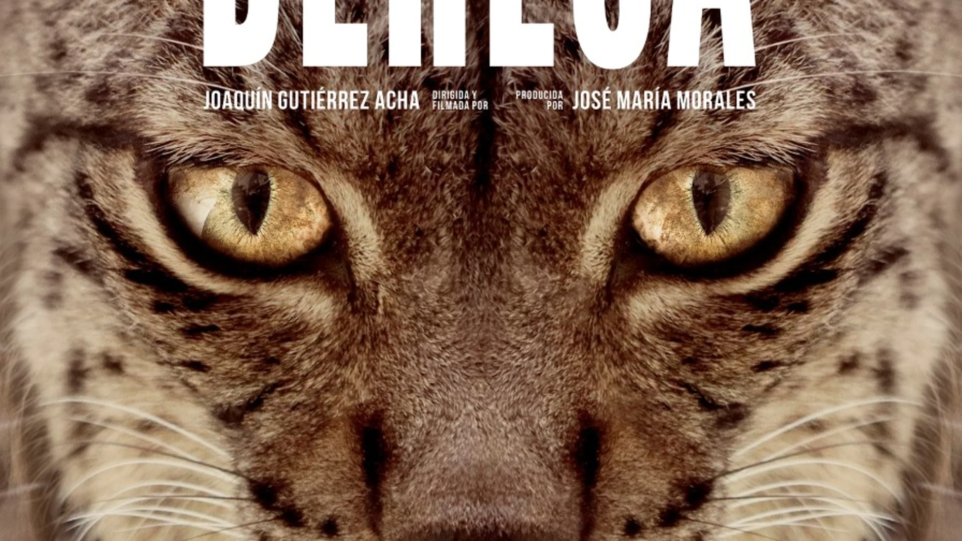 Anuncio de la película "Dehesa"
