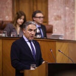 El consejero de Presidencia, Elías Bendodo, durante su intervención hoy en el pleno del Parlamento de Andalucía