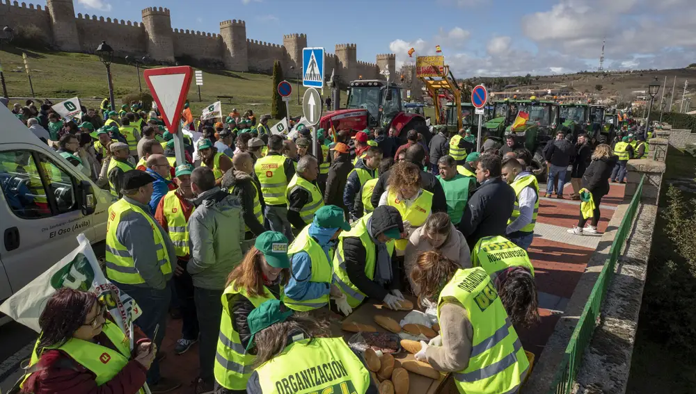Tractorada de protesta, organizada por UPA y UCCL, en Ávila para exigir precios justos. Ávila