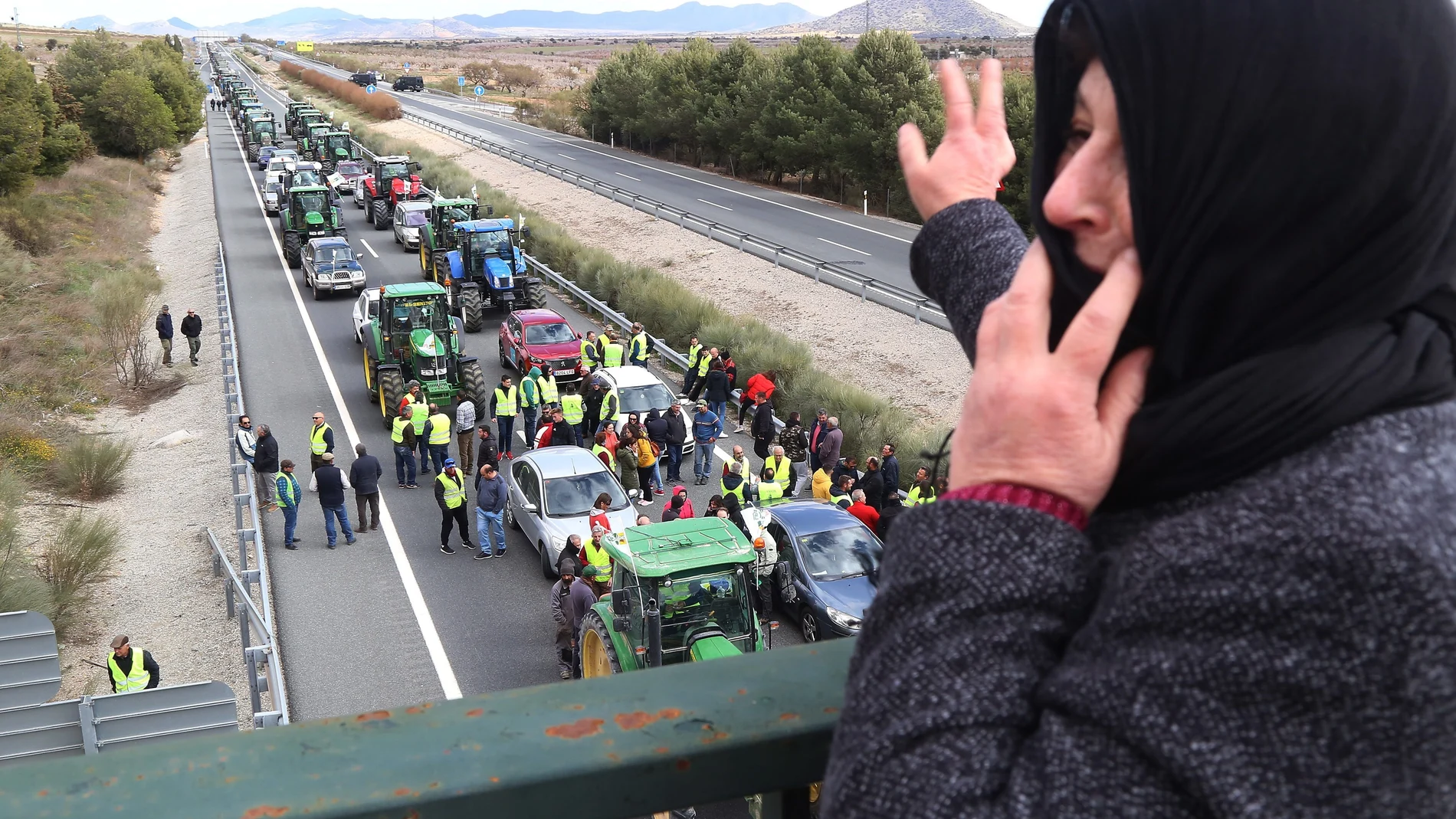 Cientos de agricultores con sus tractores cortando la autovía A-92N, en el límite entre Granada y Almería