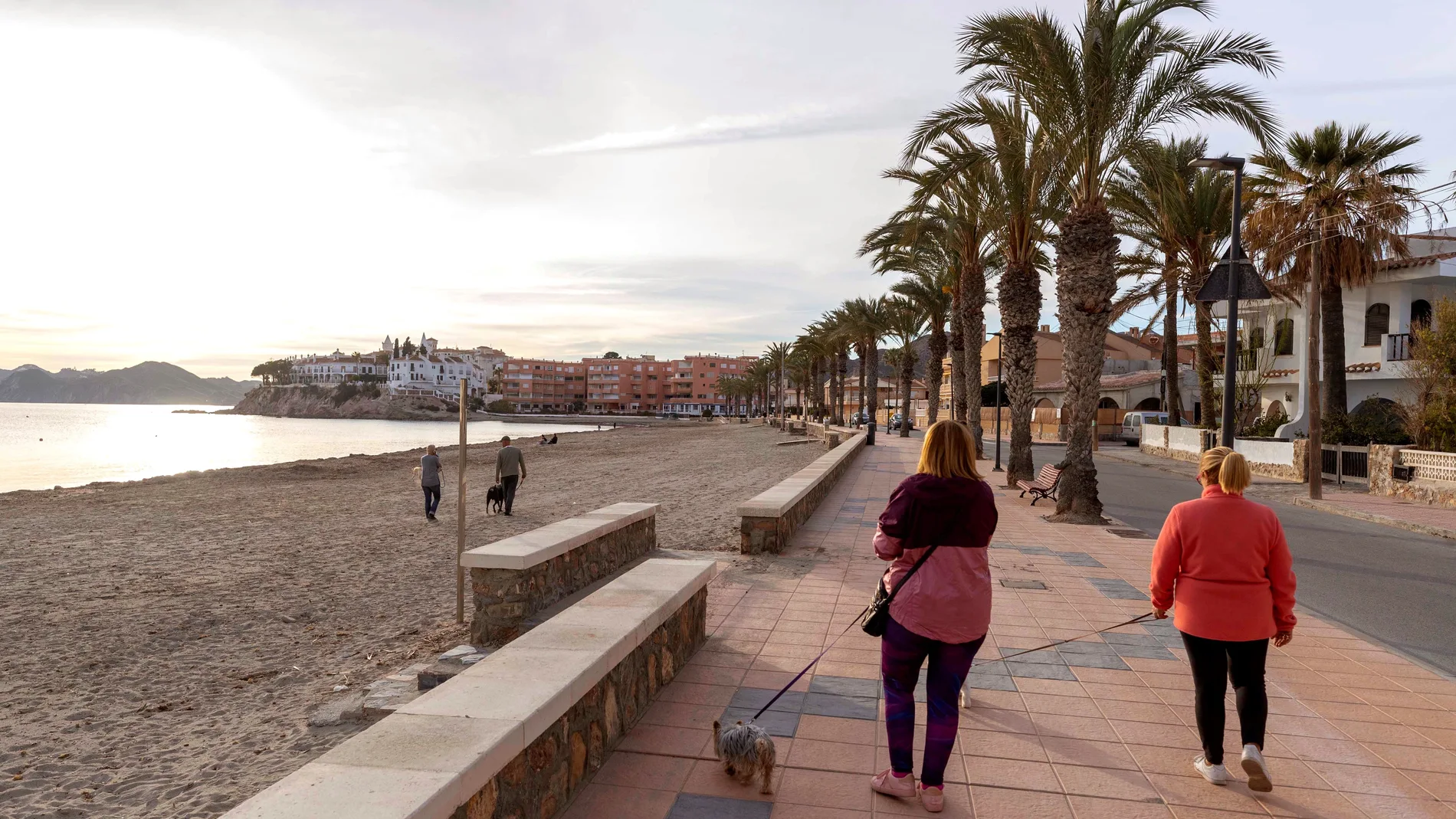 Mujeres pasean a sus perros en el paseo marítimo de la playa de Calabardina, en Águilas, Murcia