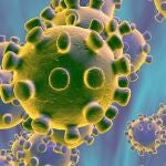 La ciencia advierte desde hace tiempo del riesgo de una pandemia como la causada por el coronavirus