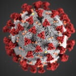 Seis países del Pacífico se libran del coronavirus.