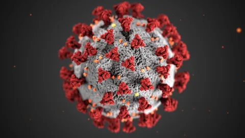 Seis países del Pacífico se libran del coronavirus.