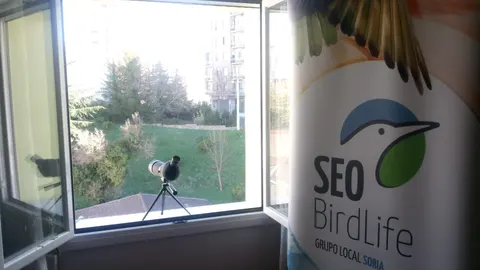 Todo preparado para ver aves desde casa