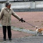 Una señora, junto a su perro este martes en una calle madrileña. Las personas mayores que viven solas se han convertido en uno de los colectivos más vulnerables de la crisis del coronavirus