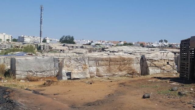 Un asentamientos de temporeros en la provincia de Huelva