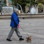 Los vecinos se turnaban para pasear al mismo perro