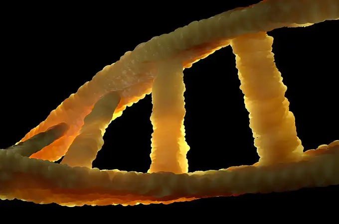 ¿Y si usamos el ADN como si fuera un disco duro?