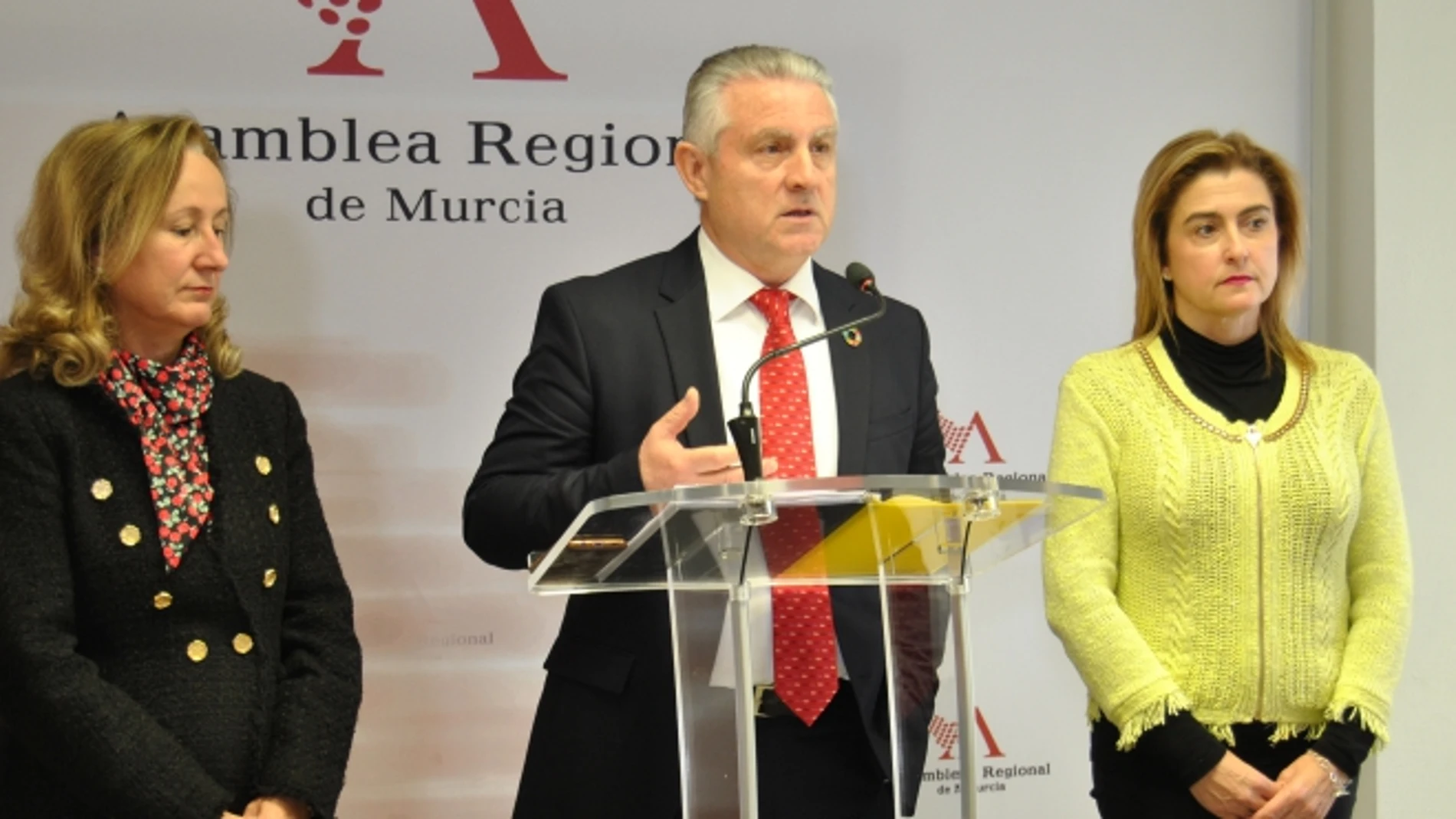 Imagen de archivo de los diputados socialistas en la Asamblea Regional