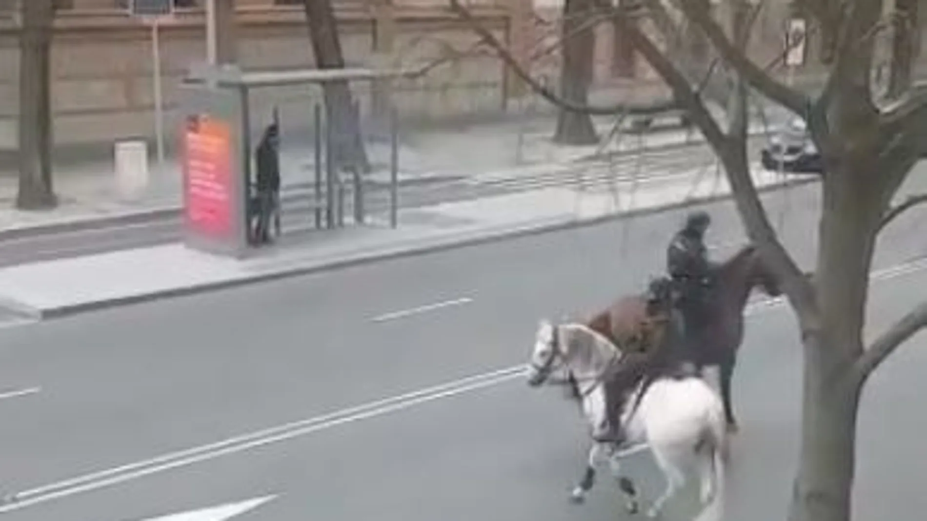 Un jinete de la Policía Nacional, al galope tras un ciclista en Madrid