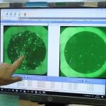 Una trabajadora de la empresa PharmaMar muestra las fotografías de una célula infectada con el Covid-19 y la misma célula tras ser tratada con Plitidepsina, en la que se puede apreciar la considerable disminución de las colonias de coronavirus.