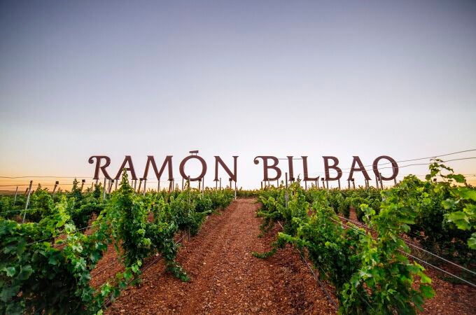 Viñedos de Bodegas Ramón BilbaoBODEGAS RAMÓN23/03/2020