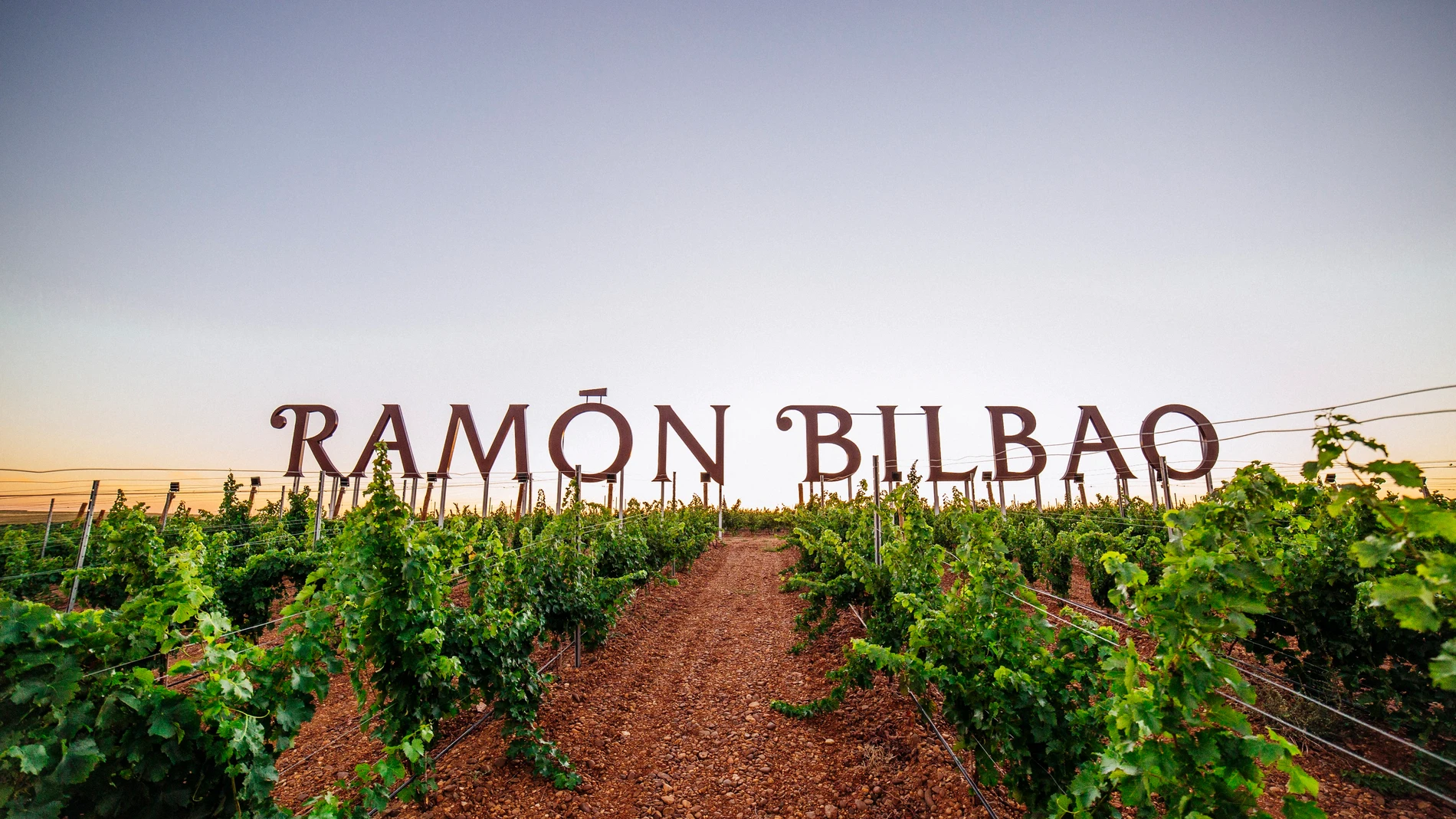 Ramón Bilbao apuesta por la sostenibilidad en sus viñedos participando en el proyecto 'Oidio Detection'