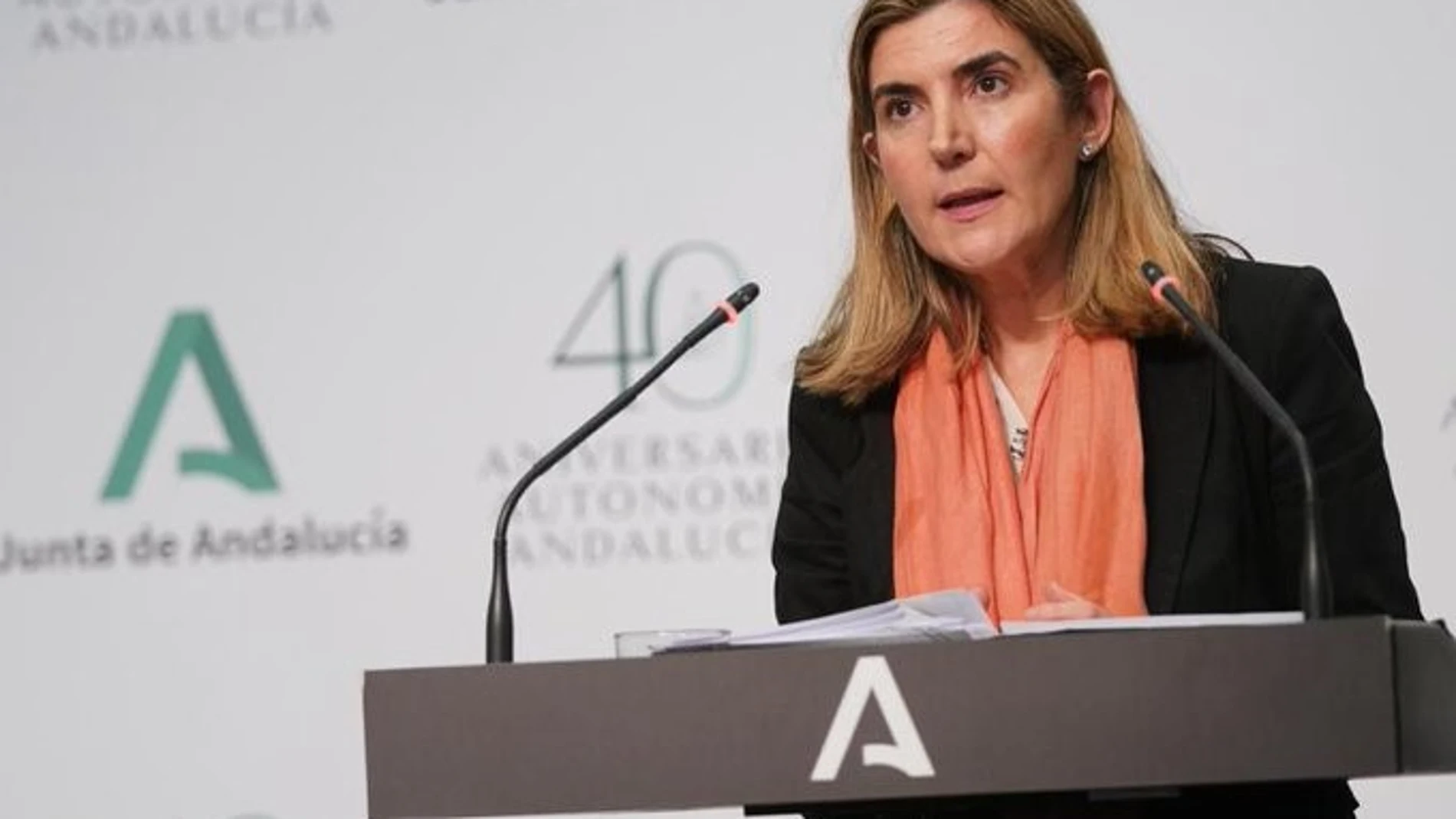 Coronavirus.- Consejo.- Andalucía registra 45.124 ERTE, con Málaga, Sevilla y Cádiz como provincias más afectadas