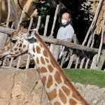 Un operario del Bioparc de Valencia, protegido con mascarilla, atiende a una de las jirafas, que ajena a la situación de confinamiento, sigue las mismas pautas de vida que hace 15 días, pero sin público.