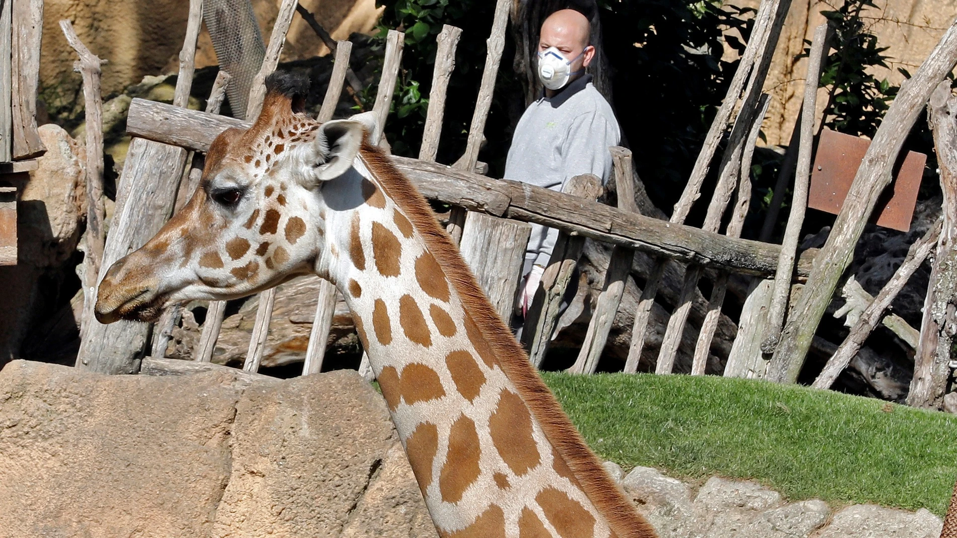 Coronavirus Bioparc