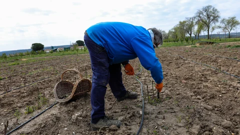 El Institut Agrícola pide la modificación de las condiciones establecidas en los avales