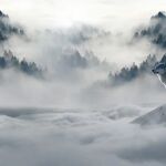Para procurar minimizar estos efectos negativos durante el tiempo que dure esta situación, podemos optar por intentar estar cerca de la naturaleza dentro de las limitaciones que supone estar en casa gracias al uso de la tecnología.