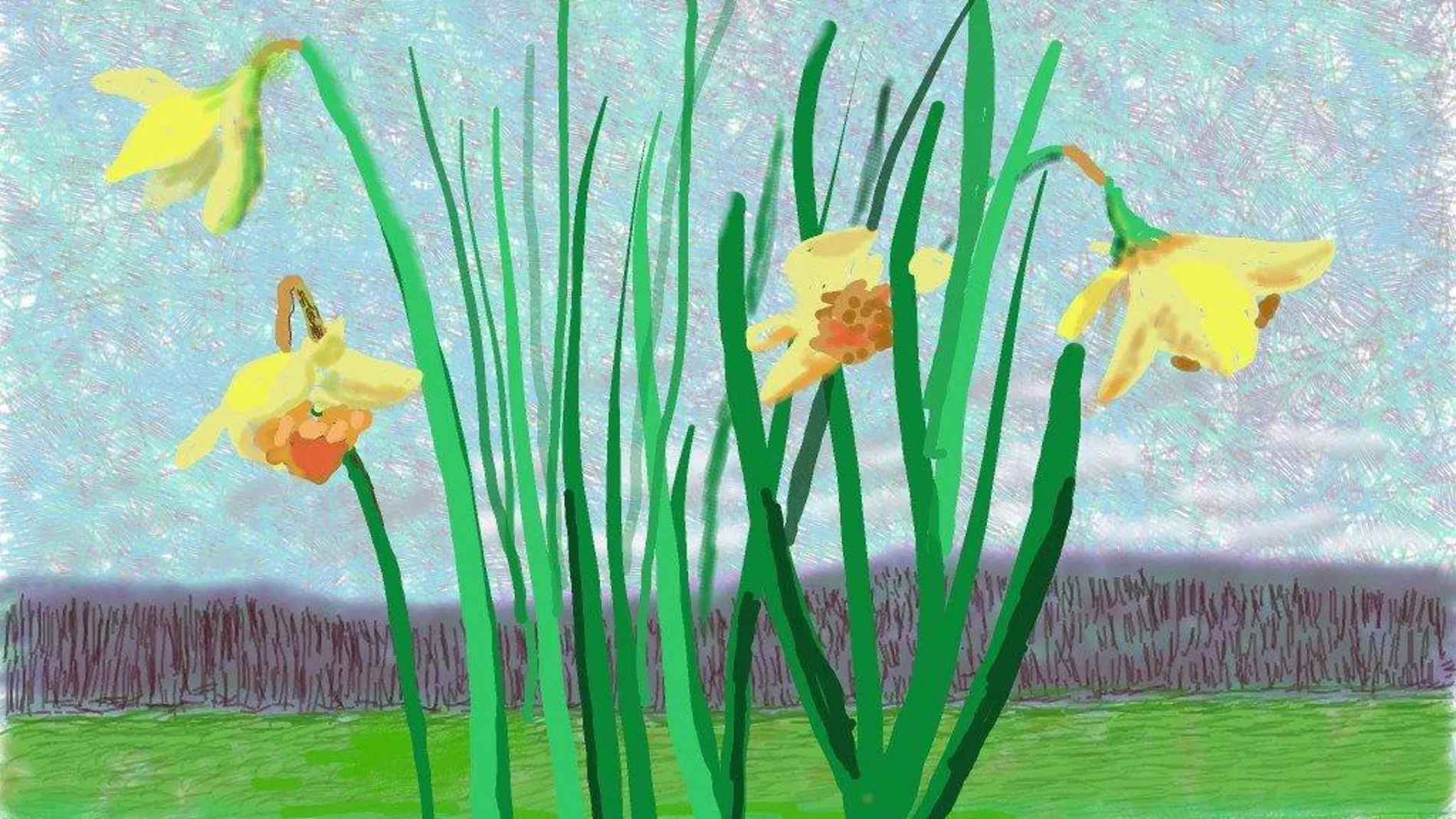 Con estos narcisos recibió David Hockney a la primavera que ve desde su jardín