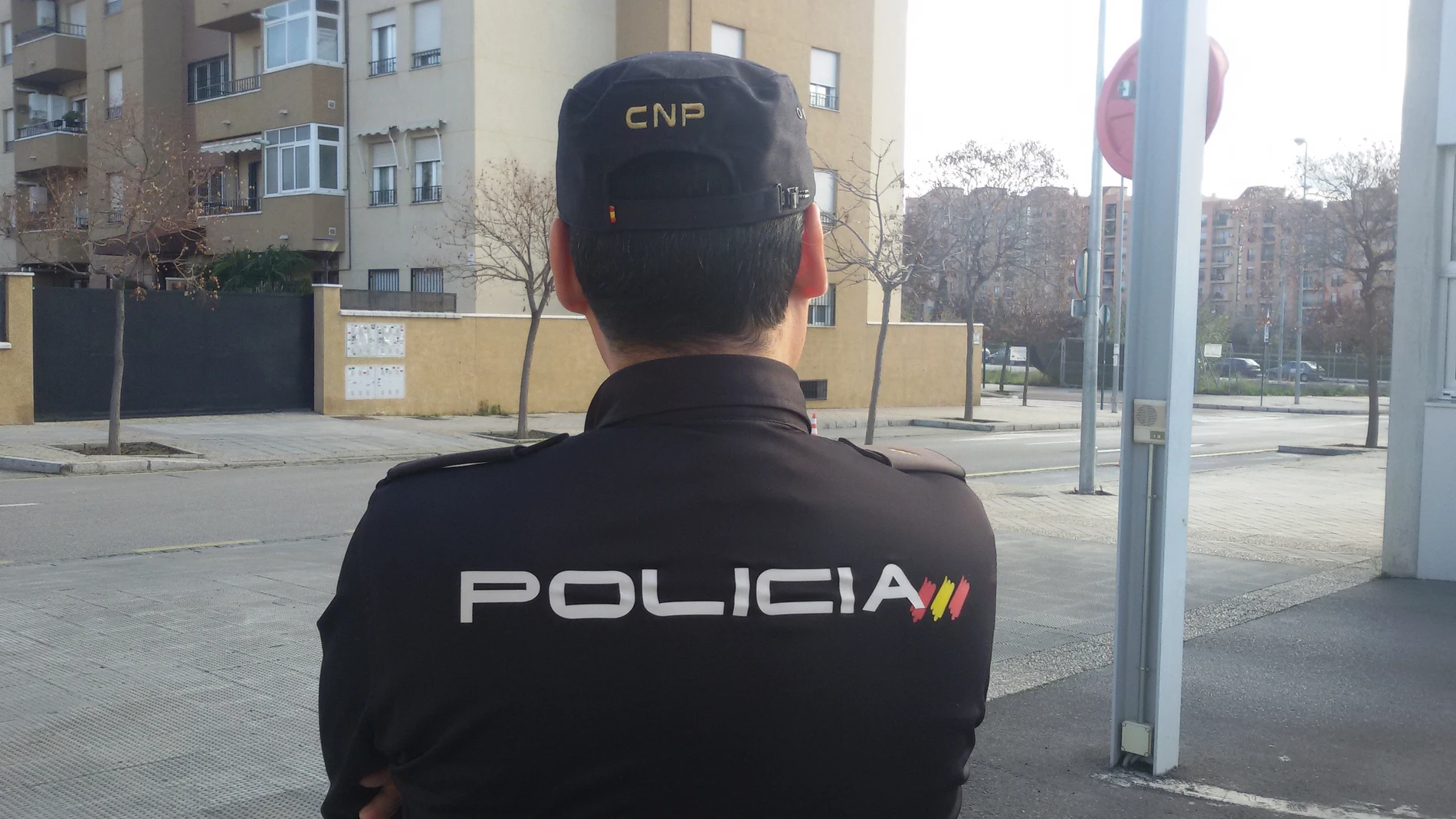 Granada.- Sucesos.- Policía Nacional detiene a tres individuos en una casa cuya puerta habrían forzado