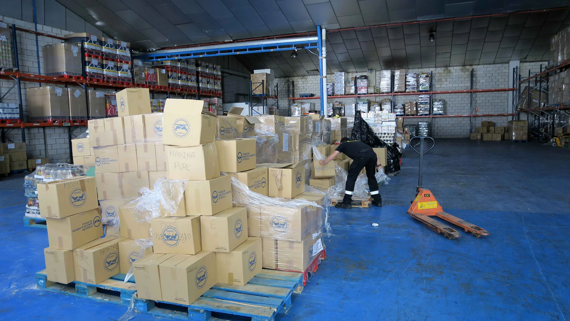 La Fundacion Banco de Alimentos de Sevilla