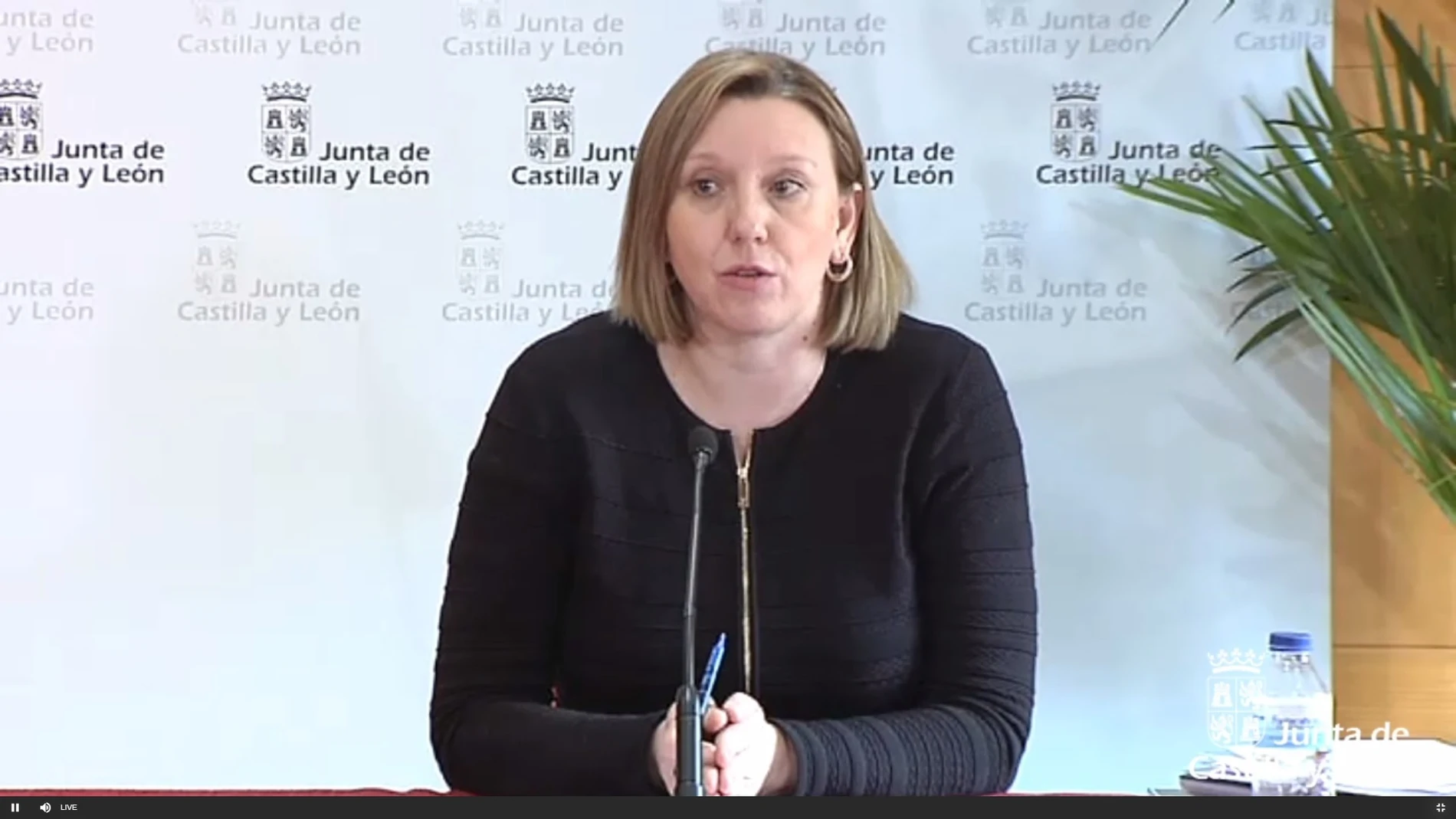 Coronavirus.- CyL registra 154 llamadas de víctimas de violencia de género y 7 ingresos en casas de acogida y emergencia